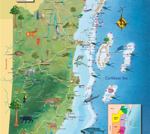 Belize Wildlife & Cultural Map