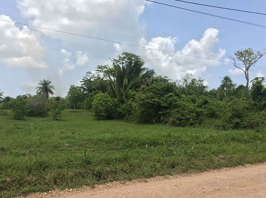 29 Acres in the Cayo District