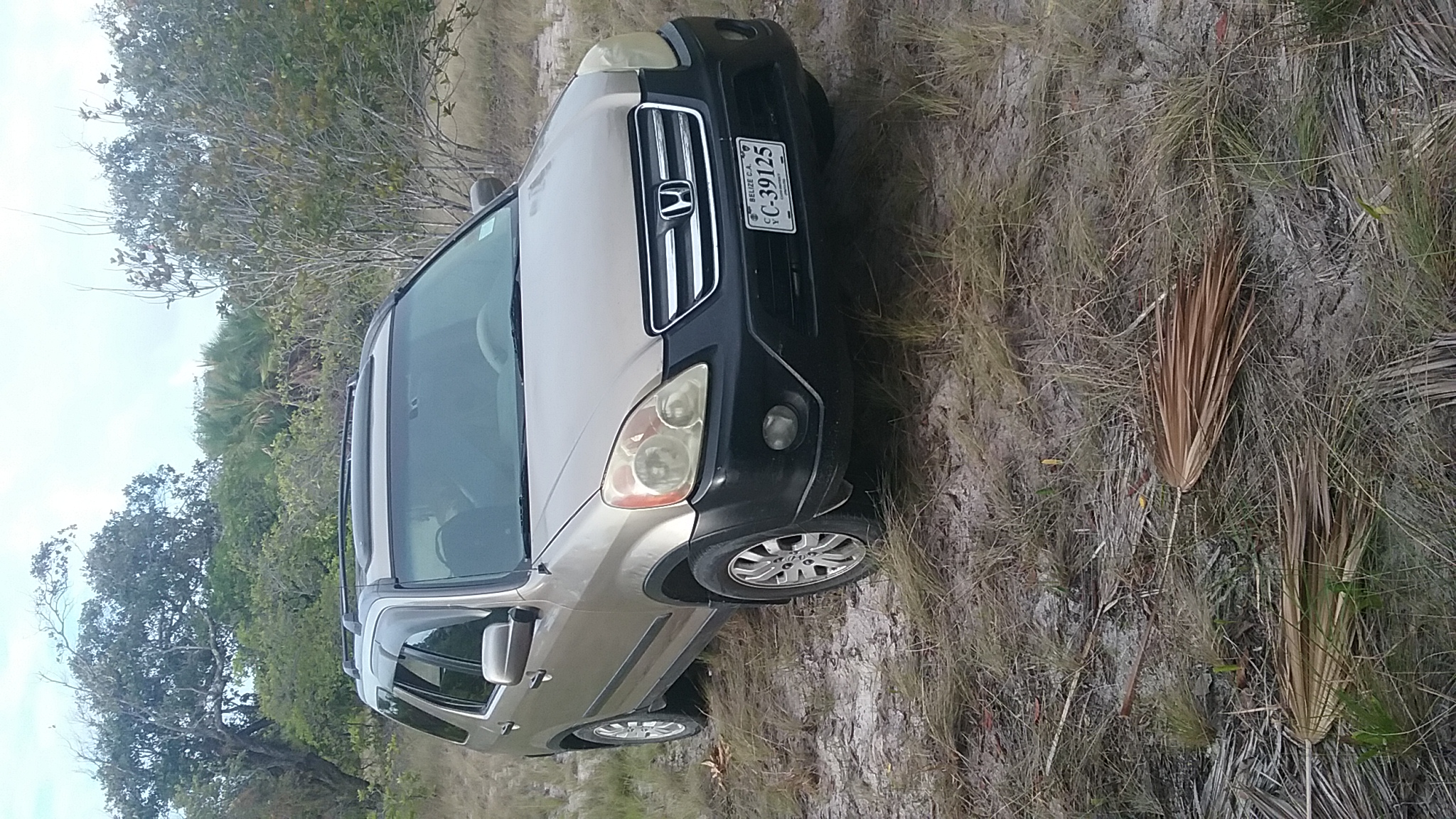 2005 Honda CRV (color  Gold) $7500bz