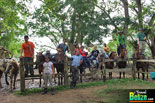 Belize Horseback Riding